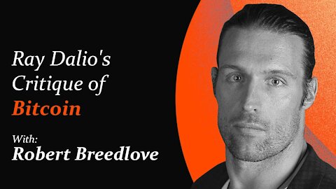 Problems with Ray Dalio's Critique of Bitcoin | Robert Breedlove