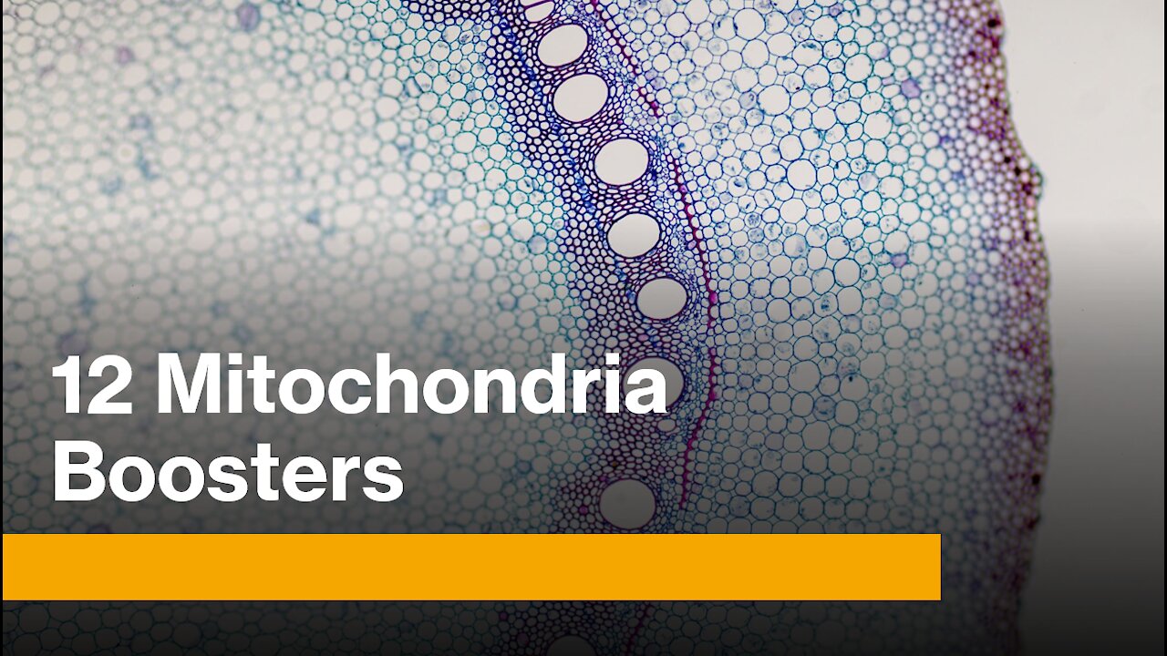 12 mitochondria boosters for endurance and health