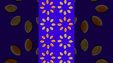 Spinning seeds Optical Illusion