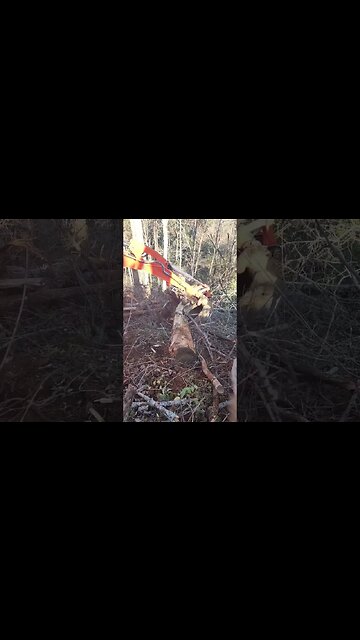 Ah Brotherly Love...He Tried To Kill Me! 🤣 #shorts