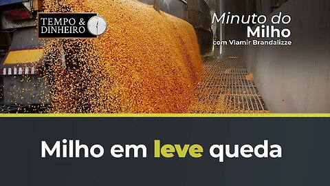 Milho em leve queda