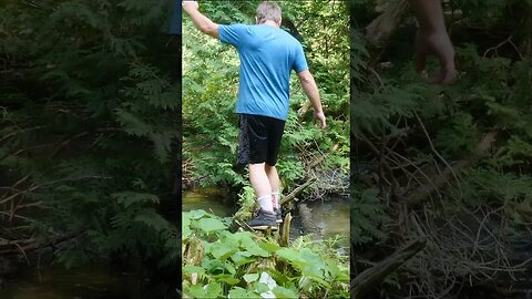 Don't Fall Off The Beam #shorts #short #hiking