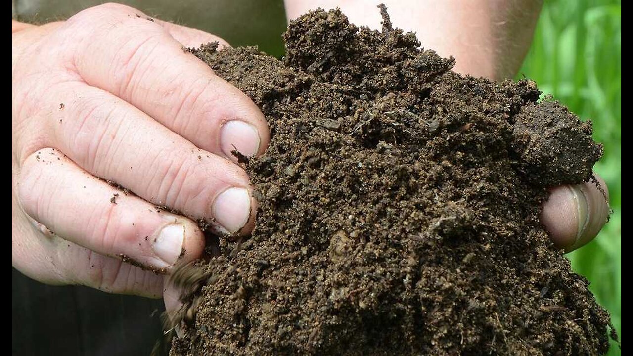 Delaware Joins Seven Other States, Allows Human Composting As Alternative to Burial and Cremation