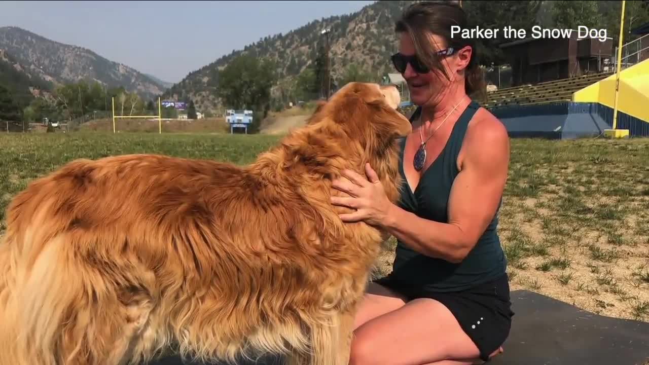 Clear Creek offering yoga with dogs at stadium next to I-70