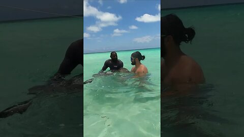 Grand Turk Stingray Excursion with Carnival Freedom #shorts