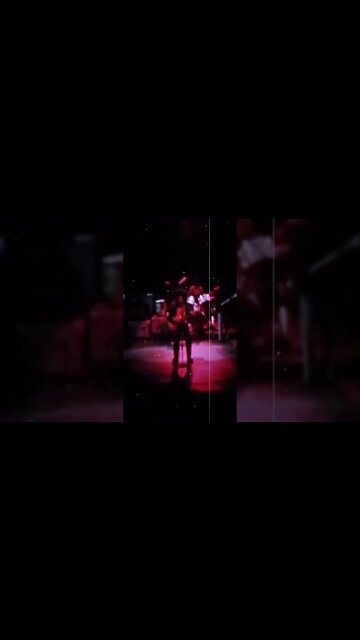 Bob Marley Live at Massey Hall June 8th 1975 #bobmarley #reggae #music #fyp #love #viral #trending