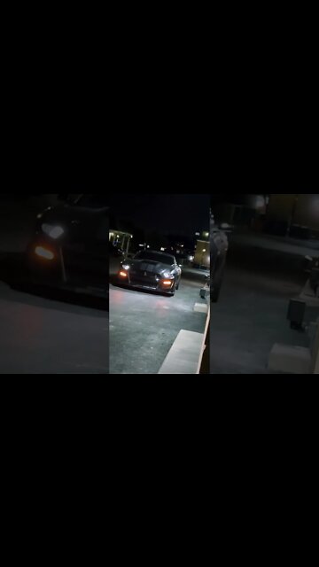 GANG #ford #mustangsociety #fordperformance #fordracing #shelby #fordmustang #shorts