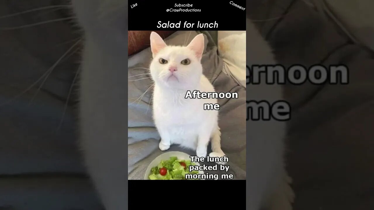 Lunch