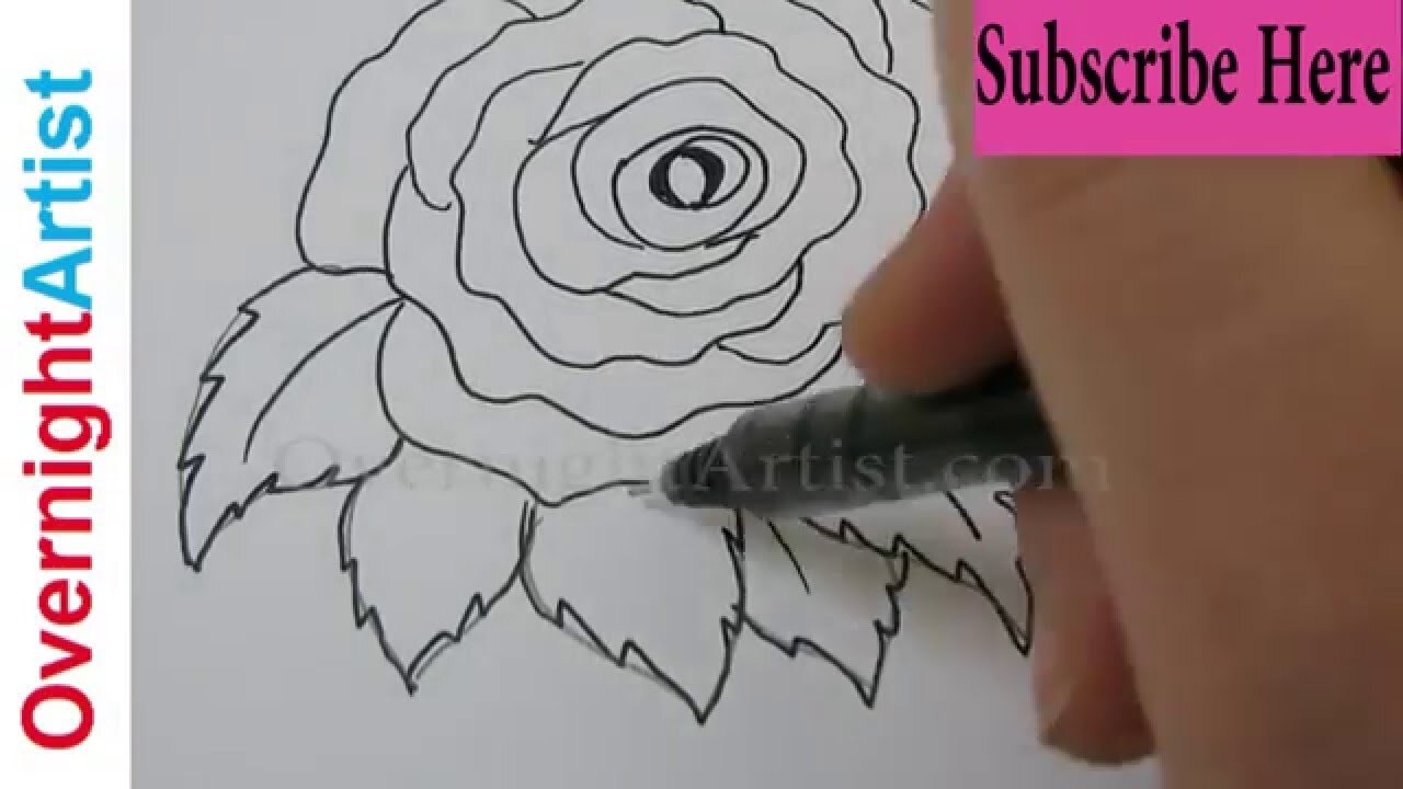 Draw A Rose Step By Step How To - Most Easy Simple Way