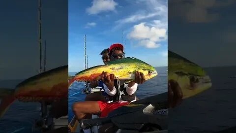 Catching Mahi-Mahi on a Jet Ski #Shorts