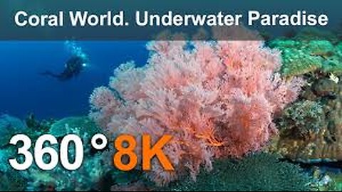 Underwater life-The movie in 360 degrees.👈