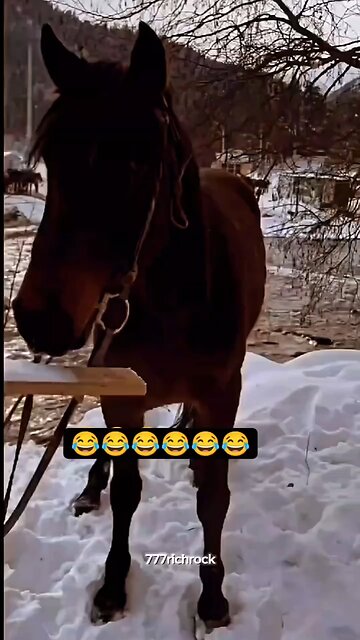 Funny Video🤣🤣🤣🤣 #Brar_Bathinde_wala