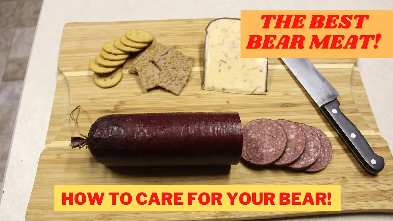 Great bear meat! How to care for your bear