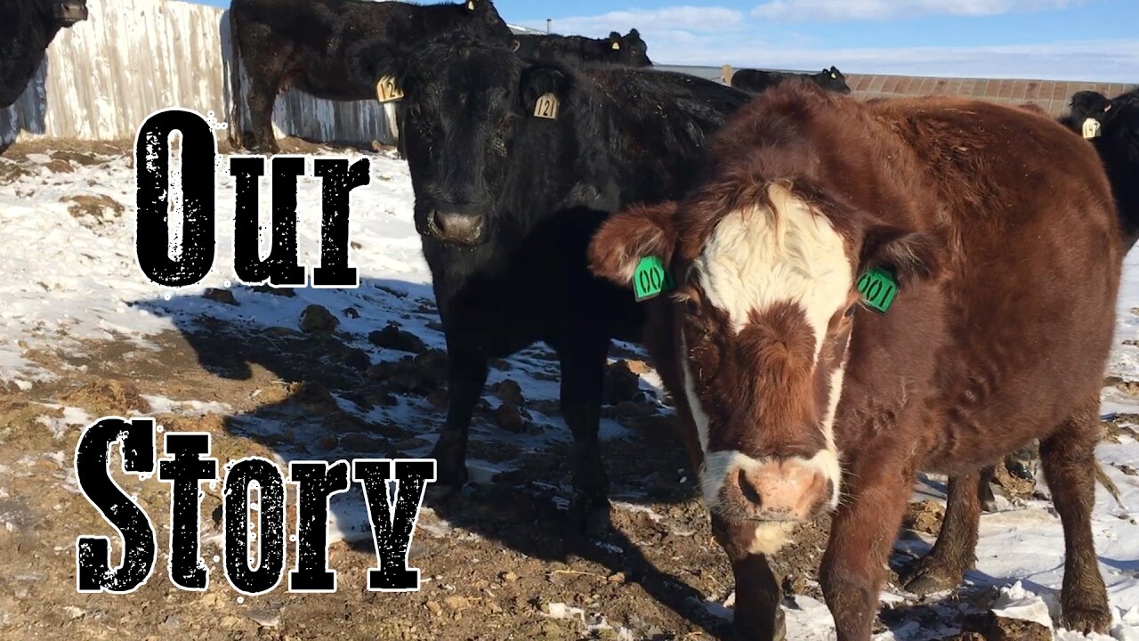Our Story - The Story Of Our Wyoming Life
