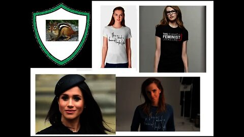 Feminists are not ugly