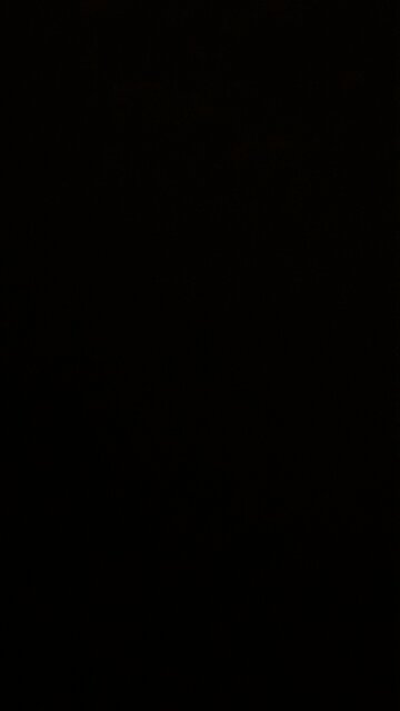 Deflation under Trump