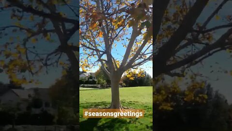 Seasons Greetings #fall #nature #season