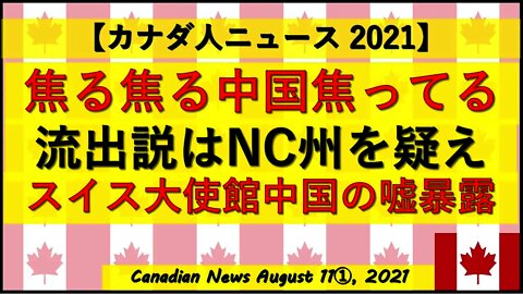 焦る中国 スイスが嘘暴露