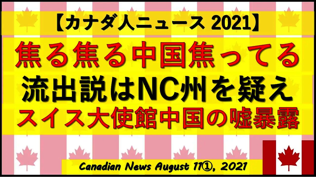 焦る中国 スイスが嘘暴露