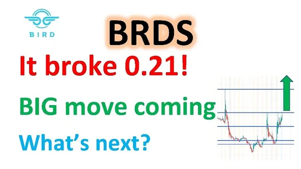 #BRDS 🔥 It's BREAKING! another big move coming? price target! $BRDS