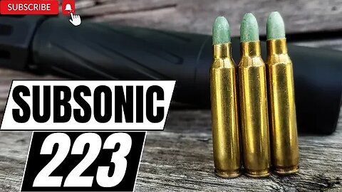 Subsonic 223??? 🤫🤫🤫