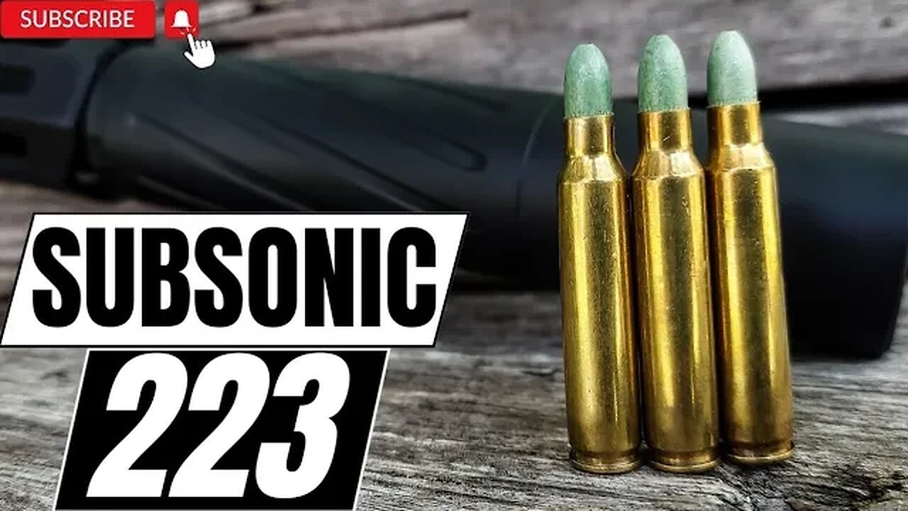 Subsonic 223??? 🤫🤫🤫
