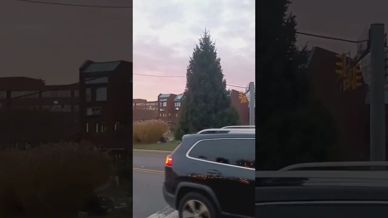 calling McLean Virginia get this Christmas tree light up asap