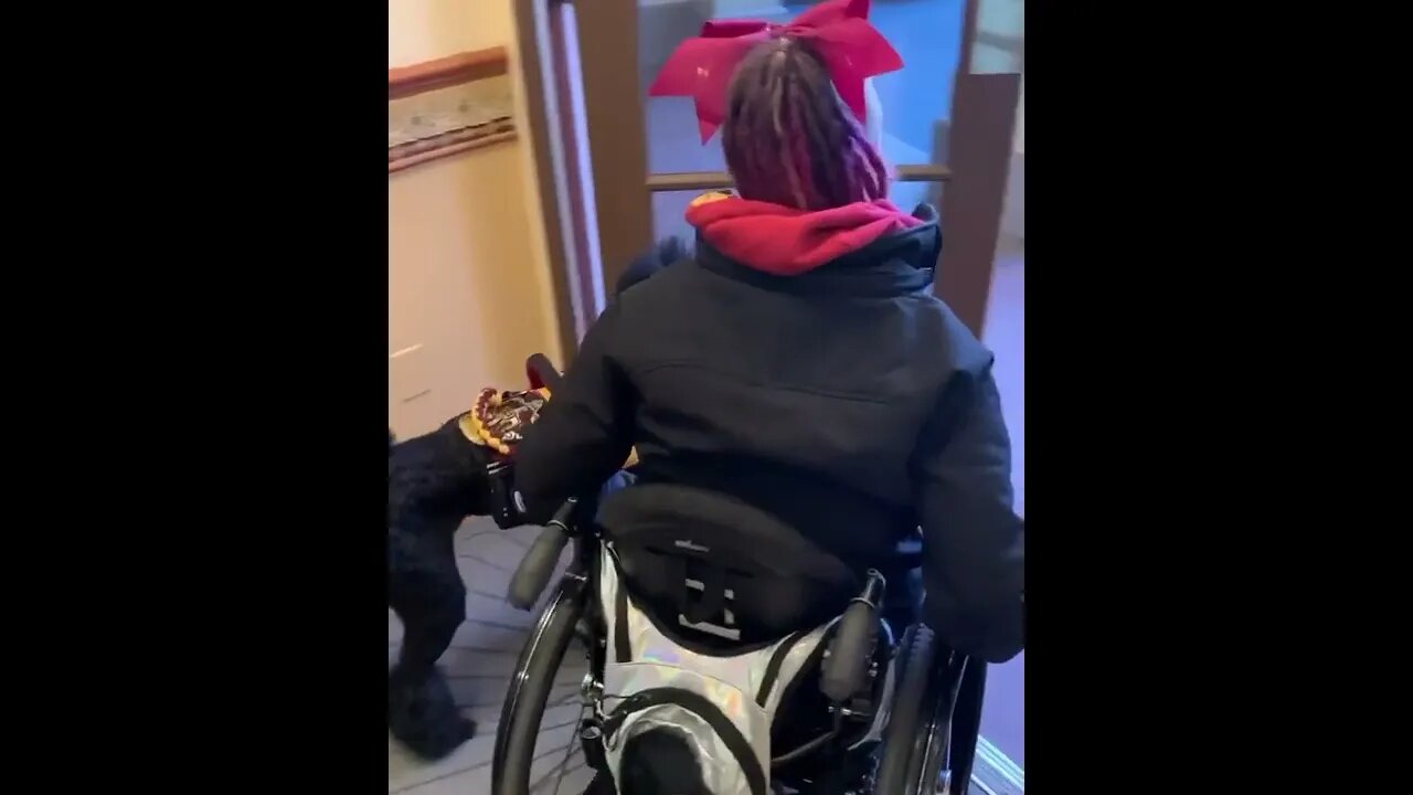 Let Me Help You With The Door
