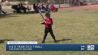 Small Stars: Tiger Sharks vs. Devil-Birds T-ball!