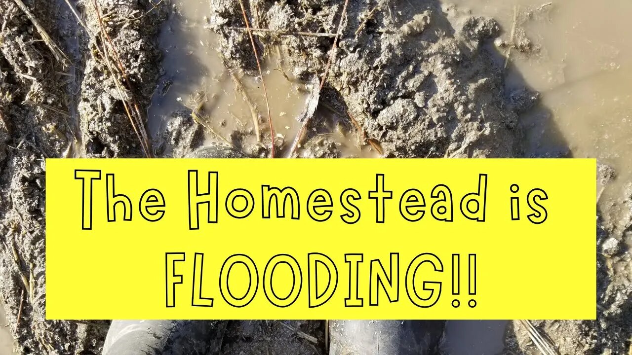 The Homestead Is Flooding!