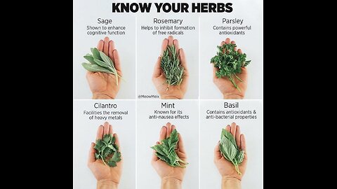 Colin Yurcisin: What seed oils are doing to your healt 💀💀💀