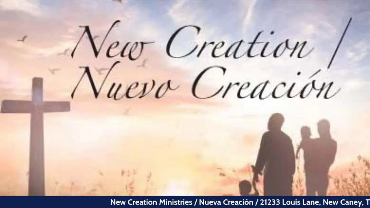 New Creation/ Nueva Creacion