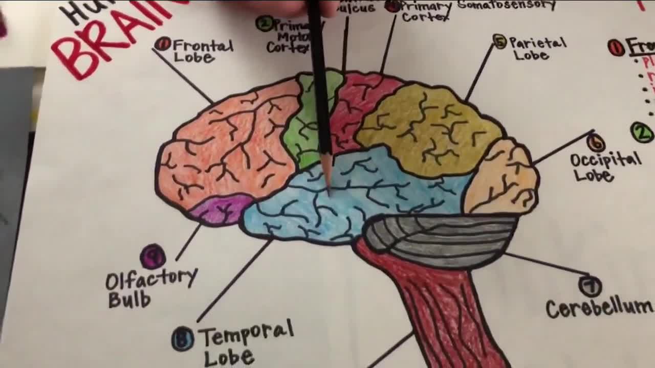 School House 7 metacognition