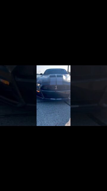 Put my mind through everything #ford #mustangsociety #fordperformance #fordracing #shelby #shorts