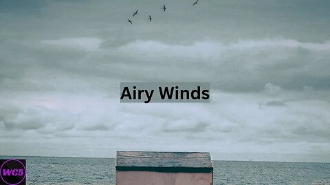 (FREE) Airy Winds - Slow R&B Soul Type Beat - woochunk5