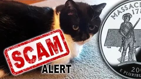 Cats & Coins: Prank Call EXPOSES SCAM!