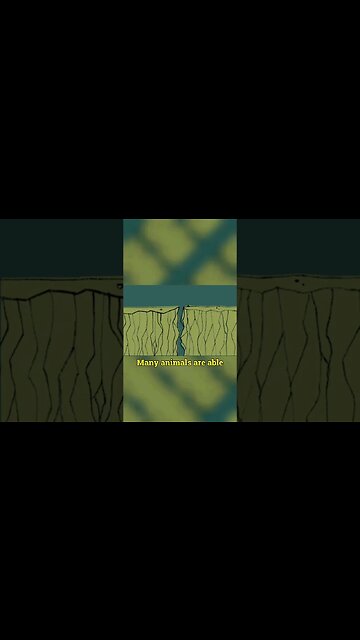 #shorts #earthquake #youtubeshorts #shortsfeed #viral #facts #didyouknow #shortsvideo #youtubefeed