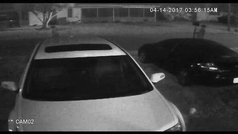 CAUGHT ON CAMERA: Trio steals mailbox in Bradenton