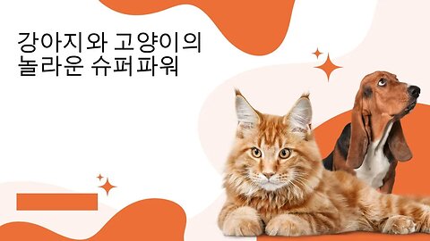 "반려동물의 놀라운 능력: 강아지와 고양이의 숨겨진 특별함을 알아보자!"