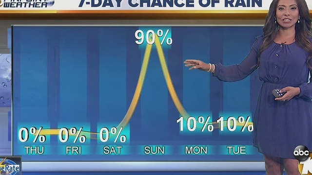 Angelica's Forecast