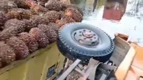 truck loaded with palm oil overturned