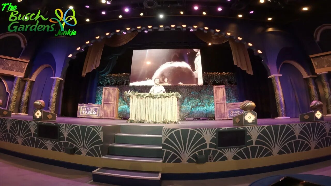 Busch Gardens Tampa Rescue Tails Show