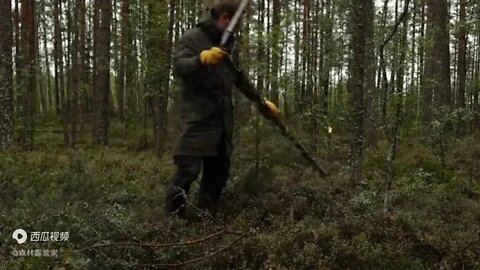 Camping in the wilderness at 20 degrees below zero, see how the Norwegia