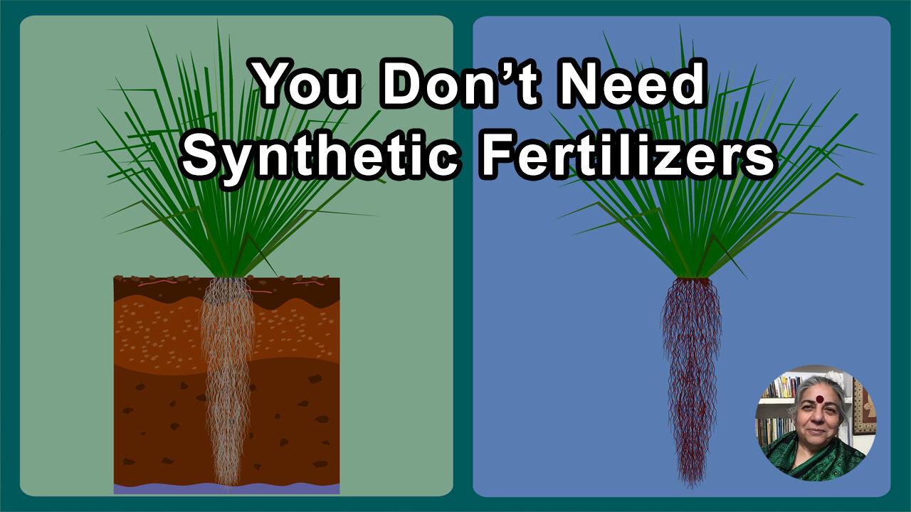 You Don't Need Synthetic Fertilizers If You Have Biodiversity In The Soil - Vandana Shiva, PhD