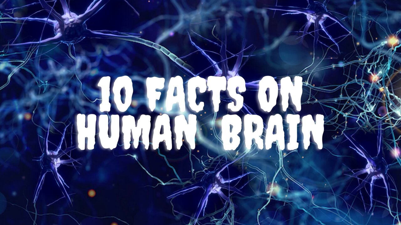 Unlocking the Mysteries | 10 Fascinating Facts About the Human Brain