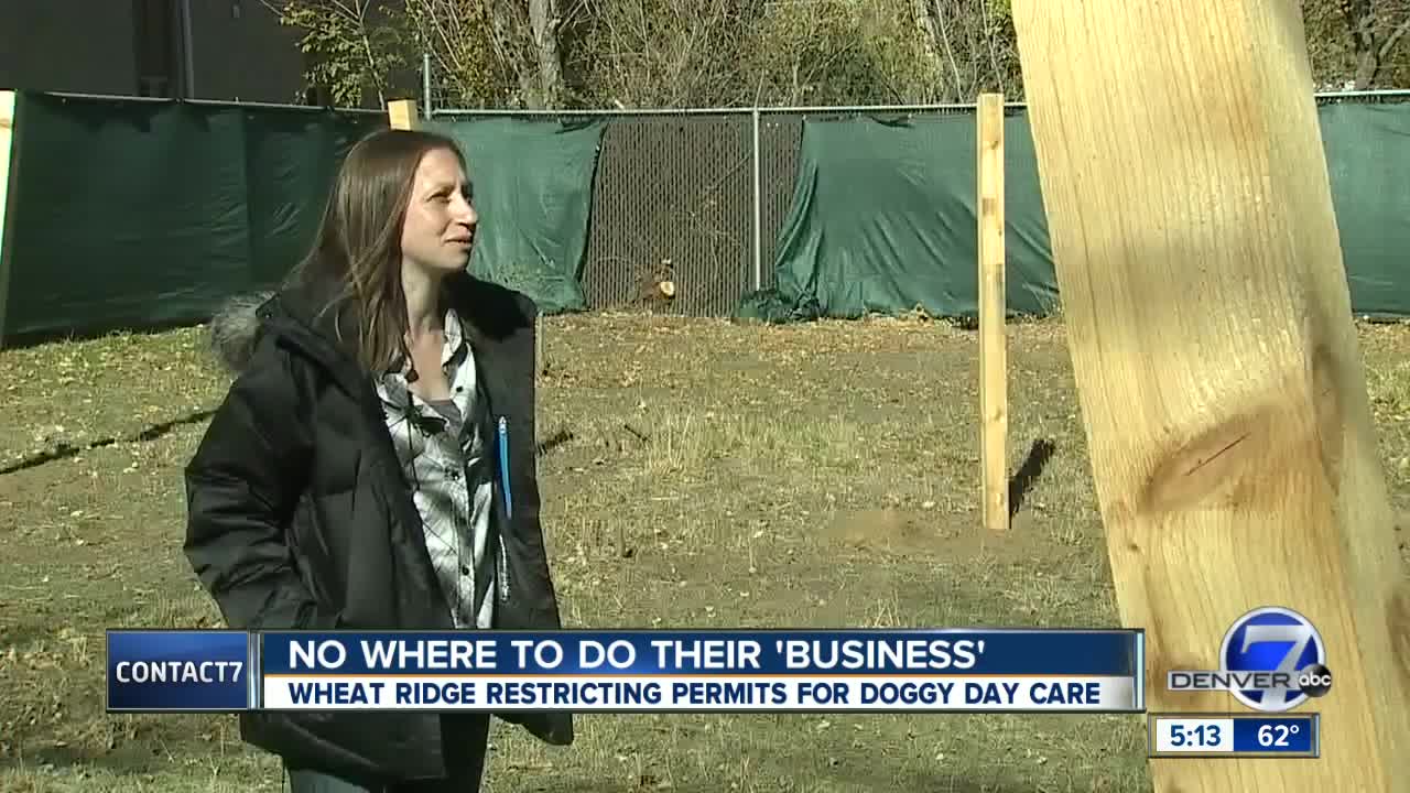 Dog training and daycare facility can't let dogs outside, according to city code and zoning