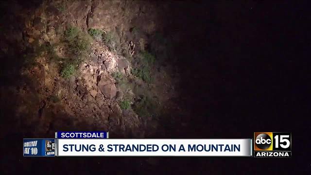 FD: Bees attack 2 hikers in Scottsdale