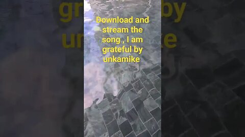 Water reflections #shortsvideo #musicshorts #music #shortsfeed