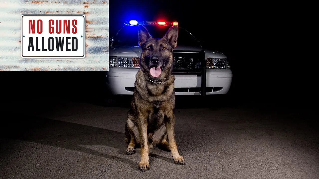 Do Gun Sniffing Dogs Make You Feel Safer?