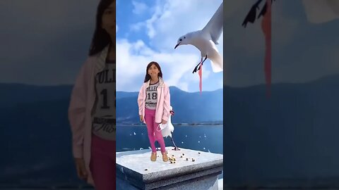 the greatest creation of God. so beautiful blue skies and birds